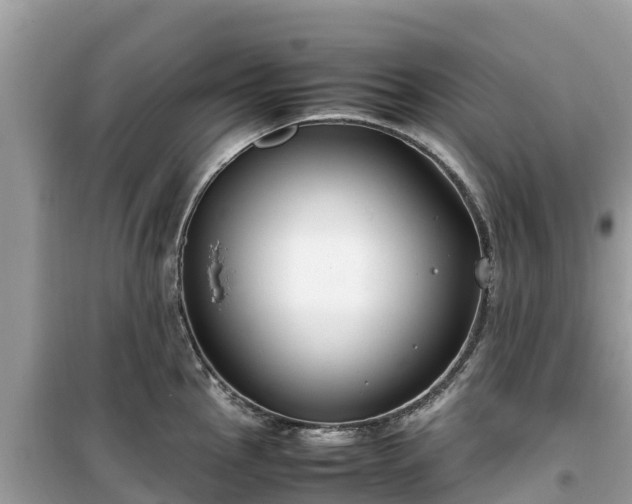 X0000099511145200805221416