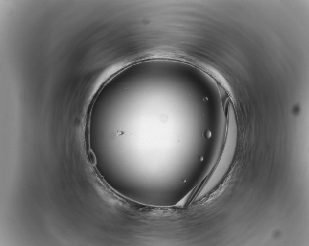 X0000099511146200805221416