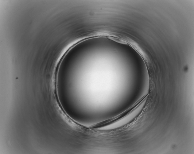 X0000099511148200805221416