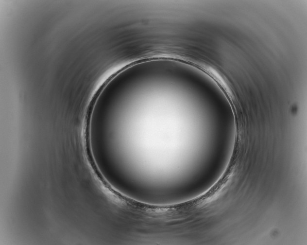 X0000099511149200805221416