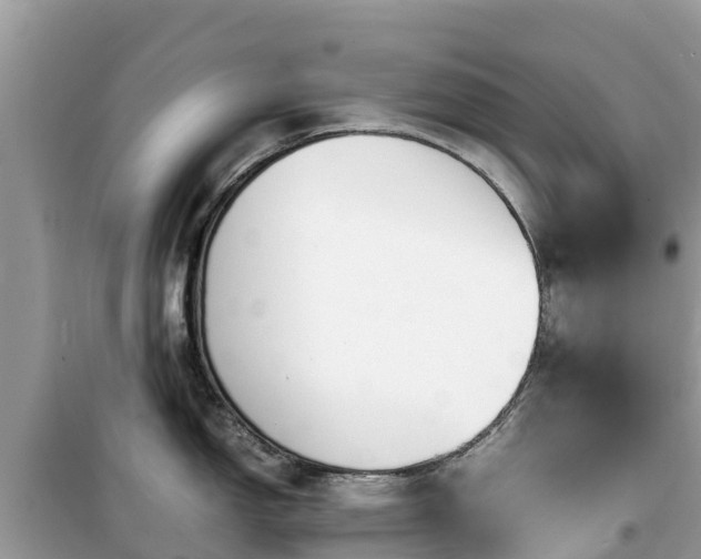 X0000099511150200805221416
