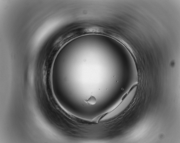 X0000099511151200805221416