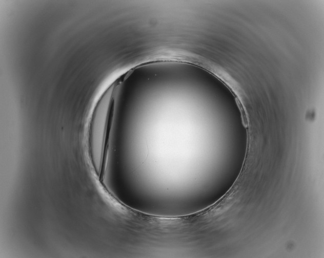 X0000099511152200805221416