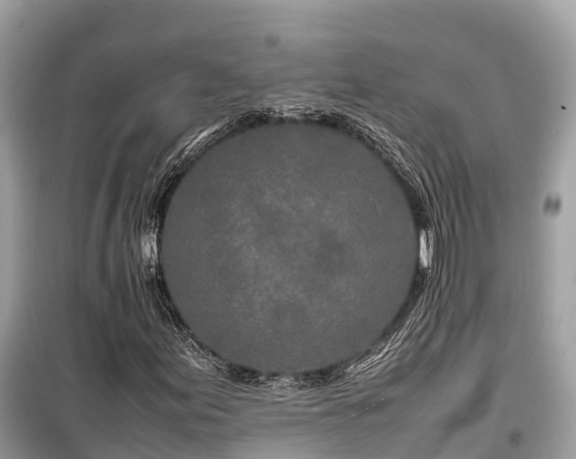 X0000099511155200805221416