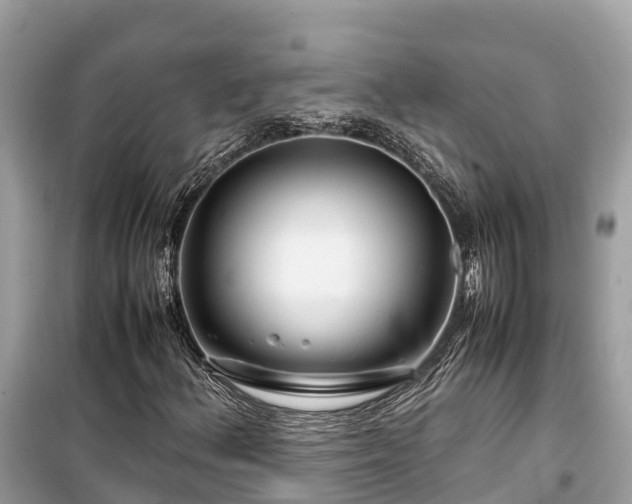 X0000099511156200805221416