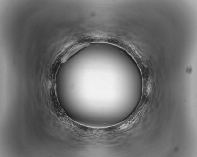 X0000099511157200805221416
