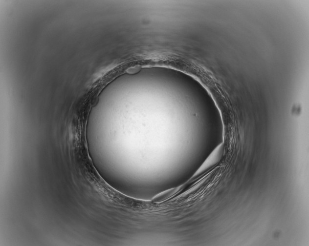X0000099511158200805221416
