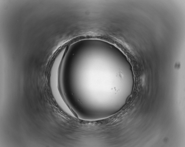 X0000099511160200805221416