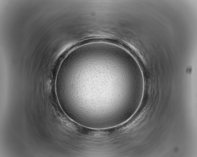 X0000099511163200805221416