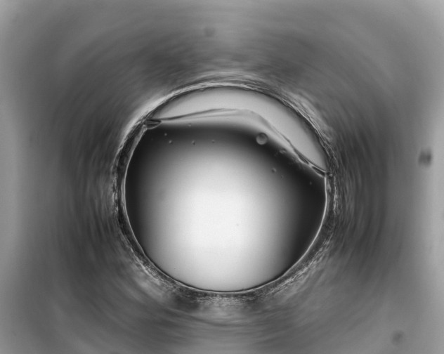 X0000099511164200805221416