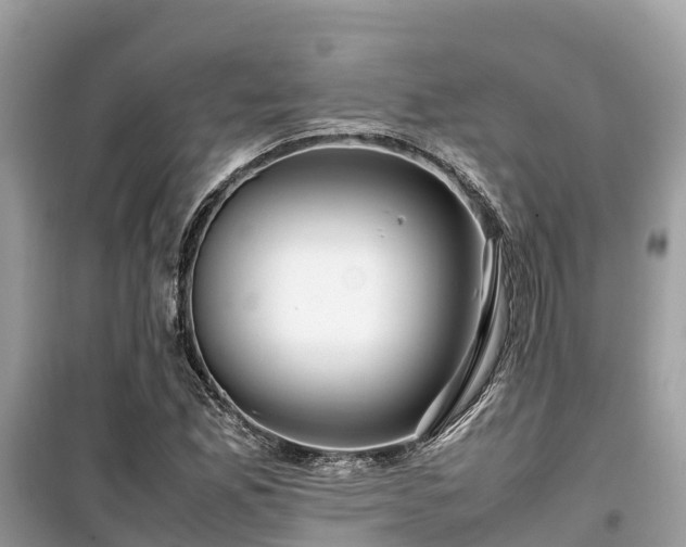 X0000099511165200805221416
