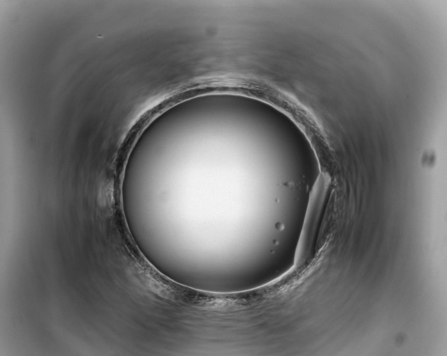 X0000099511166200805221416