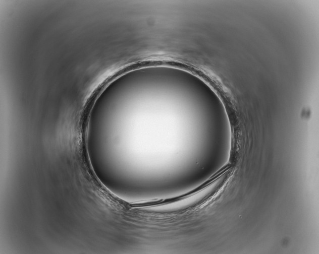 X0000099511167200805221416