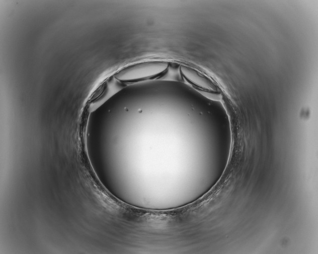 X0000099511168200805221416