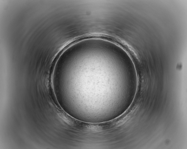 X0000099511170200805221415
