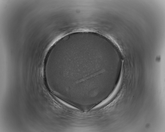 X0000099511173200805221415