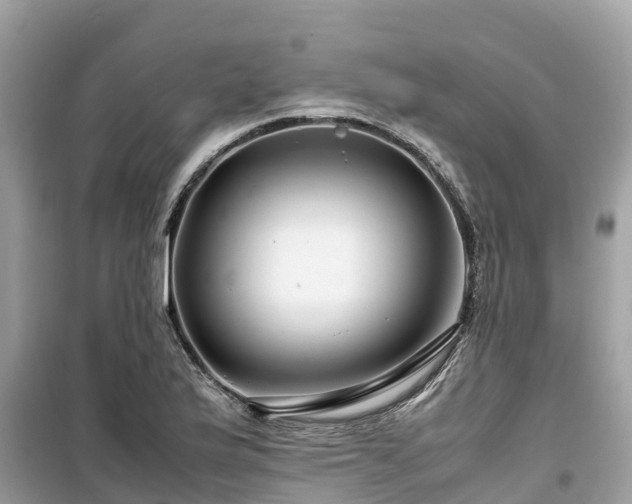 X0000099511175200805221415
