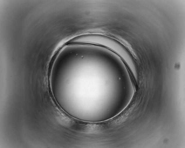 X0000099511176200805221415