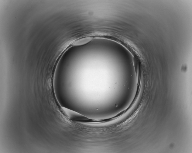 X0000099511177200805221415
