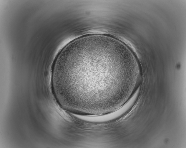 X0000099511179200805221415