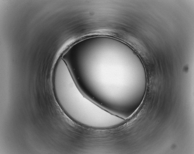 X0000099511180200805221415