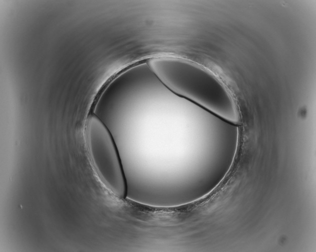 X0000099511181200805221415