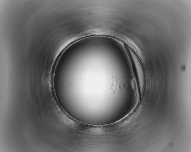 X0000099511182200805221415