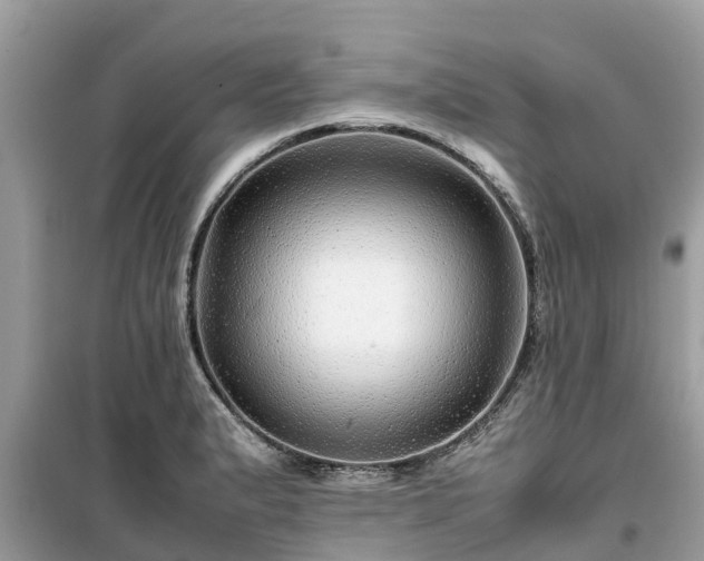 X0000099511183200805221415