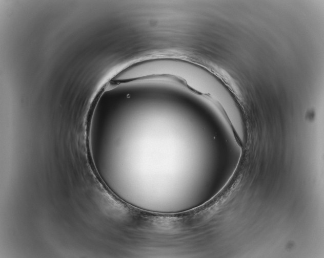 X0000099511184200805221415