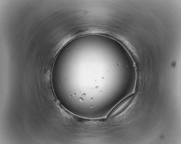X0000099511185200805221415