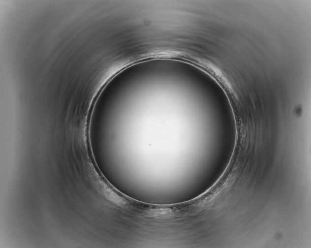 X0000099511186200805221415