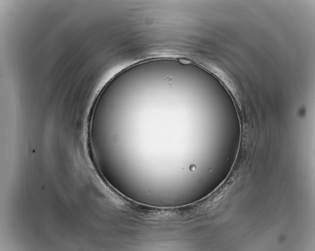 X0000099511187200805221415