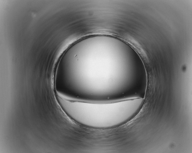 X0000099511188200805221415