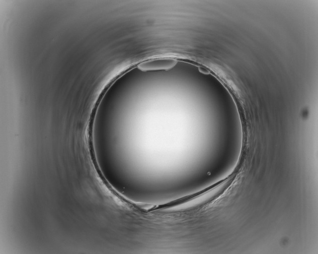 X0000099511189200805221415