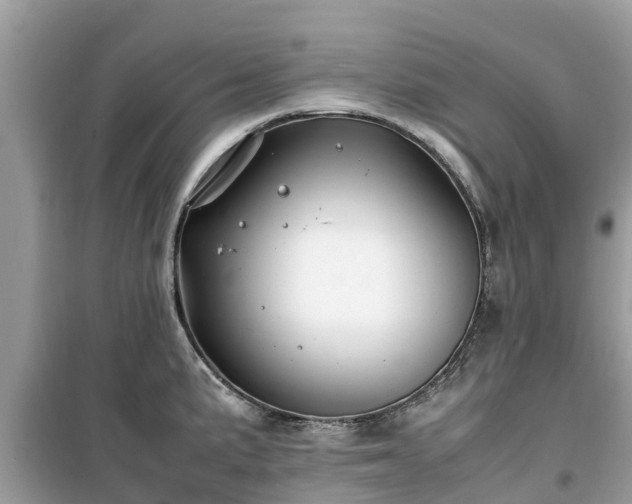 X0000099511191200805221415
