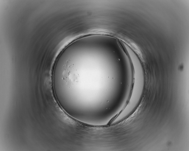 X0000099511192200805221415
