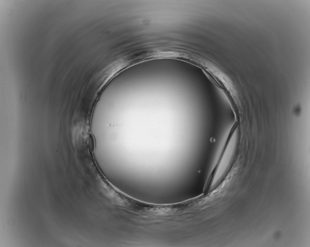 X0000099511193200805221415