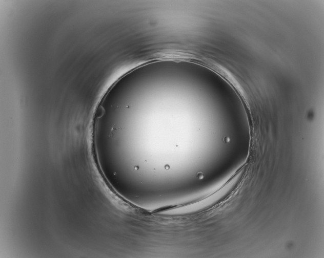 X0000099511195200805221415