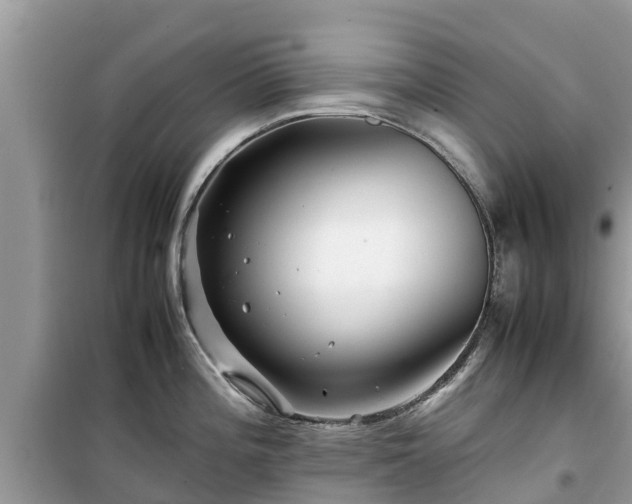 X0000099511196200805221415