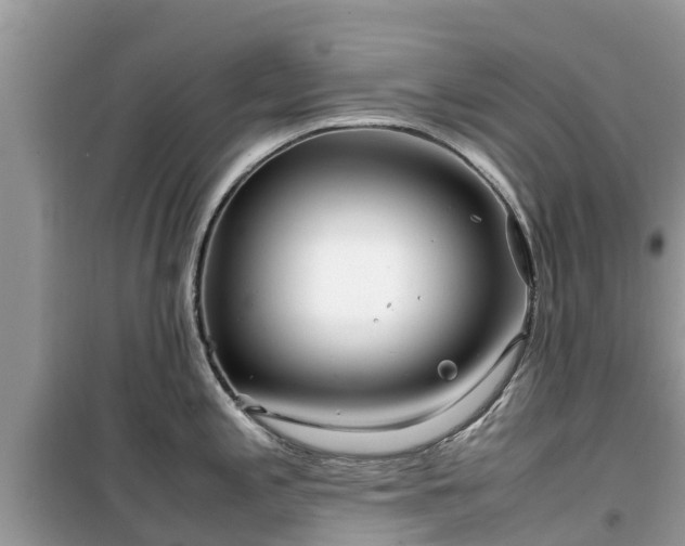 X0000099511197200805221415