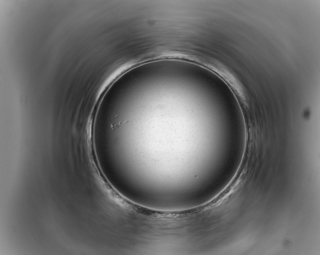 X0000099511198200805221415