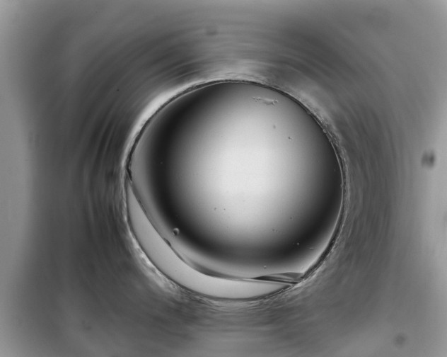 X0000099511200200805221415