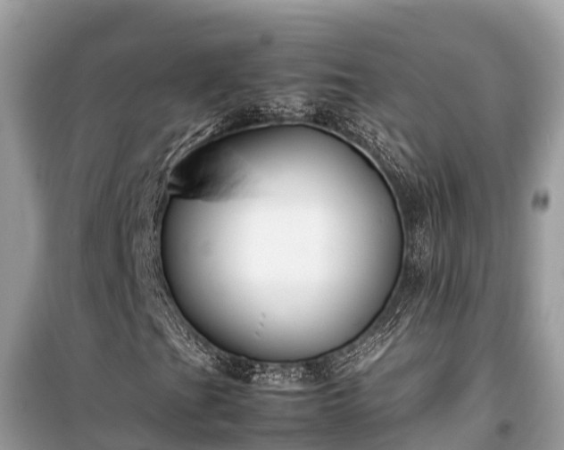 X0000099511201200805221414