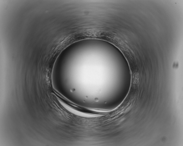 X0000099511202200805221415