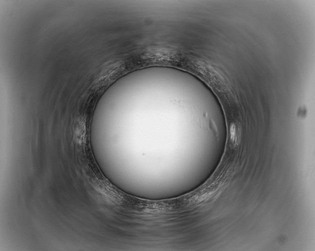 X0000099511203200805221415