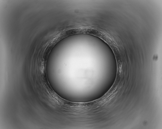 X0000099511204200805221415