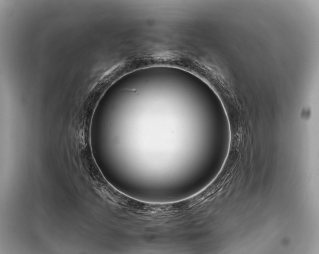 X0000099511205200805221415