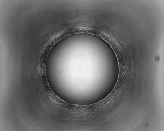 X0000099511207200805221415