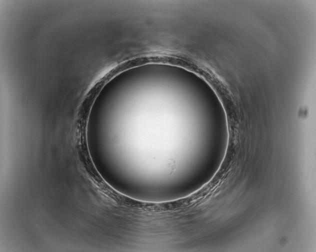X0000099511208200805221415