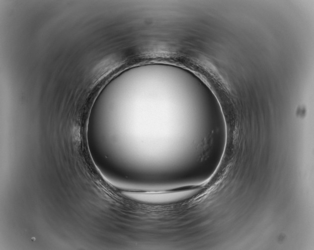 X0000099511209200805221415